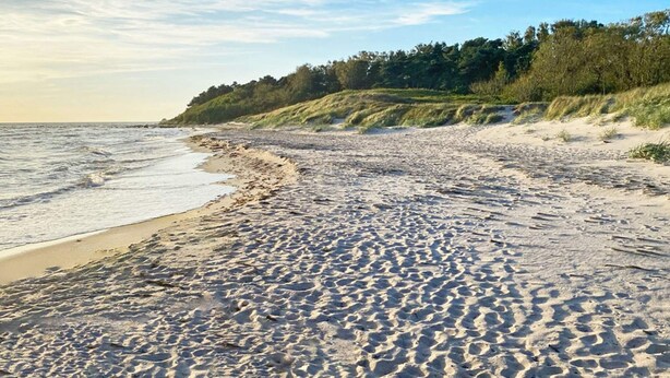En sandstrand med bløde bølger, en græsdække og et skovområde i baggrunden.