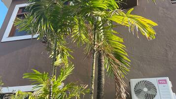 Terraço/pátio