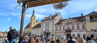 peaceful,private,modernized farmhouse,courtyard, pool with vineyard valley views