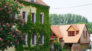Un bâtiment à deux étages dont la façade jaune est partiellement recouverte de lierre vert.