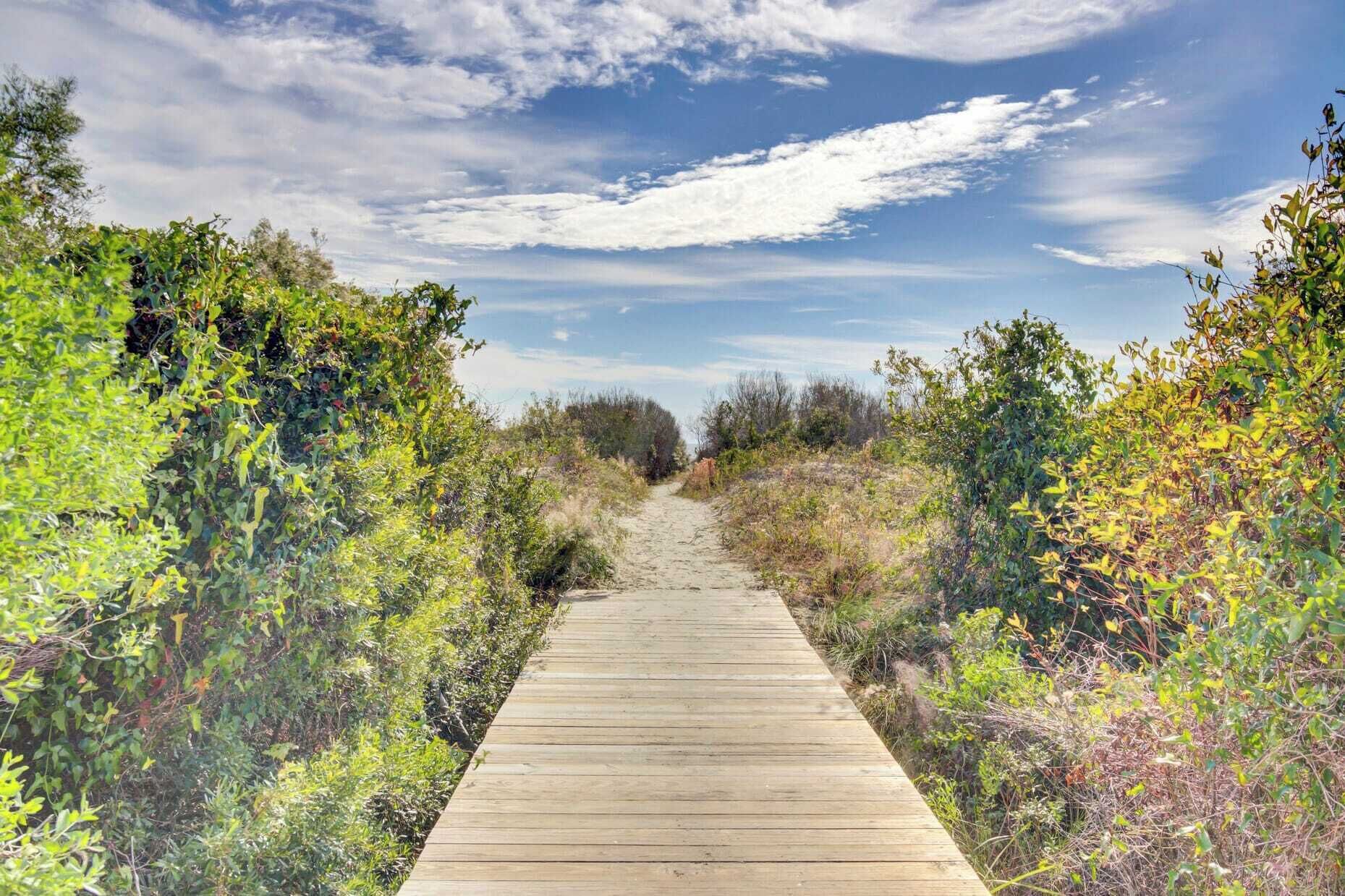 A wooden boardwalk through a natural landscape with dense vegetation on both sides.