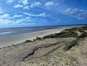A beach with sand dunes and a clear sky. - 4 Person Holiday Home in Blavand (Blavand)