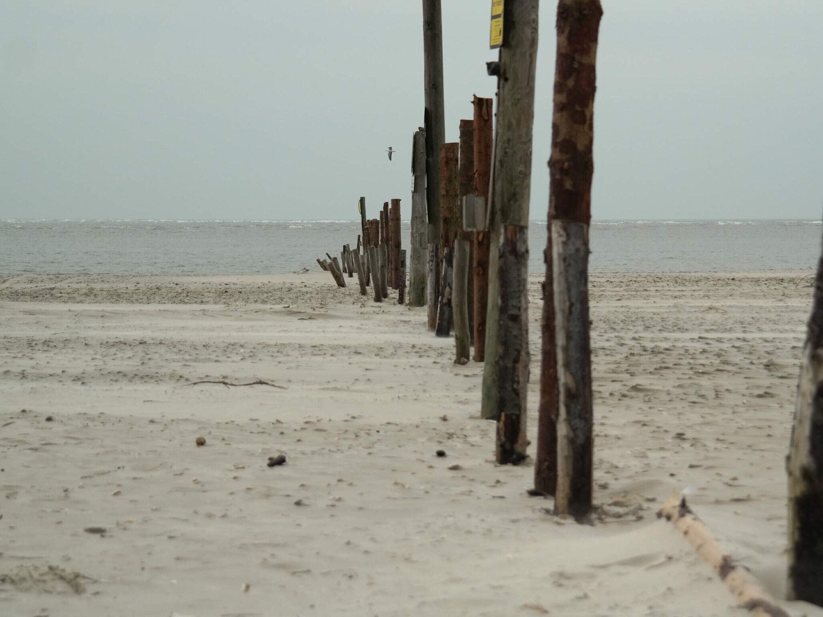 A beach with wooden posts and a sandy shore.