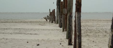 A beach with wooden posts and a sandy shore.