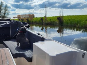 House | Balcony - Lovely Villa on the Frisian Water (Leons)