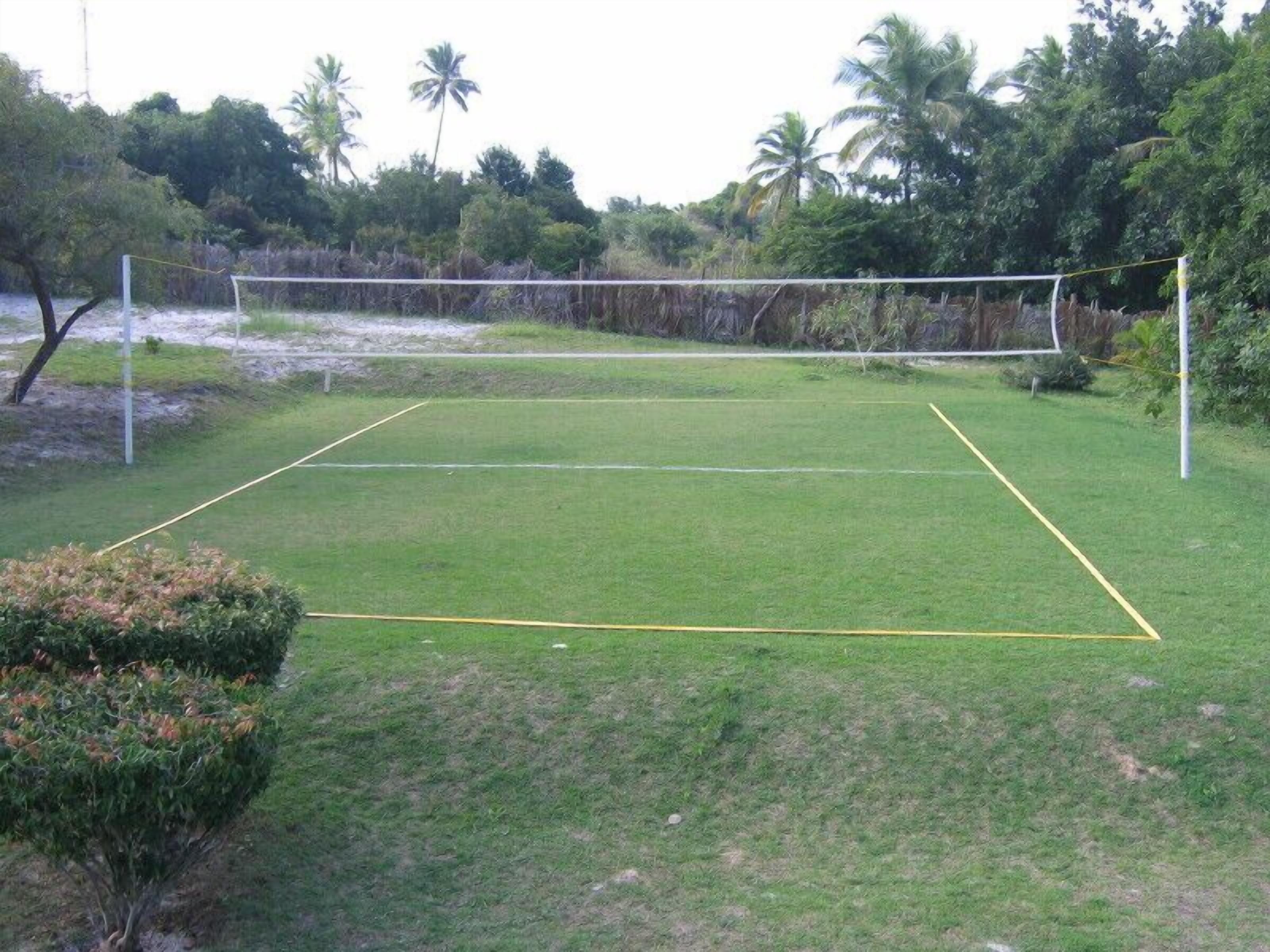 Una cancha de tenis bien cuidada con una red en el centro, rodeada de abundante follaje y árboles.