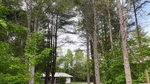 Un vialetto sterrato conduce a un edificio bianco circondato da alberi alti.