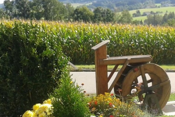 Property grounds - Holiday Apartment Tulpe Schuniglhof (Neukirchen Beim Heiligen Blut)