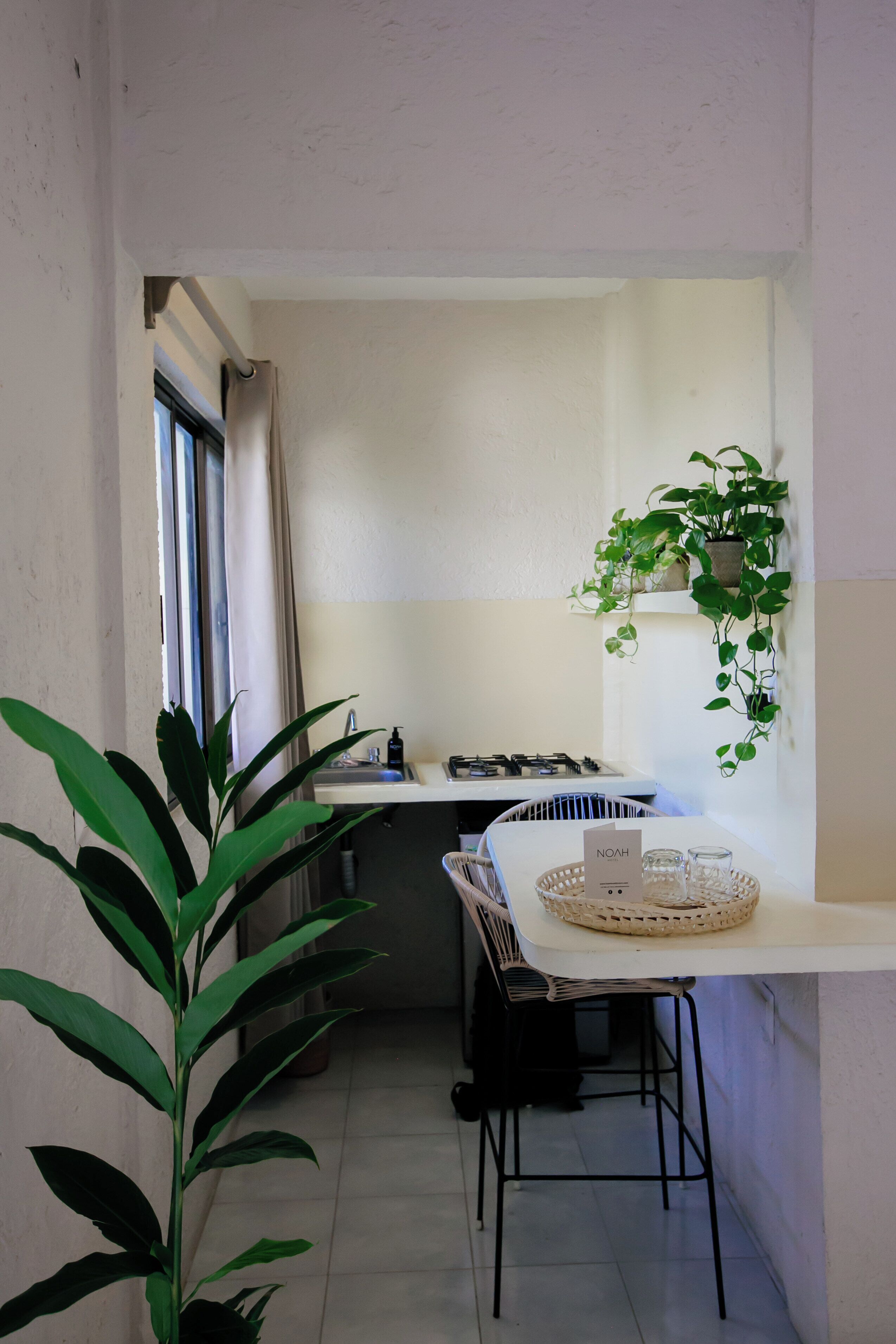 A compact kitchen with a white countertop, a gas stove, and a hanging plant.