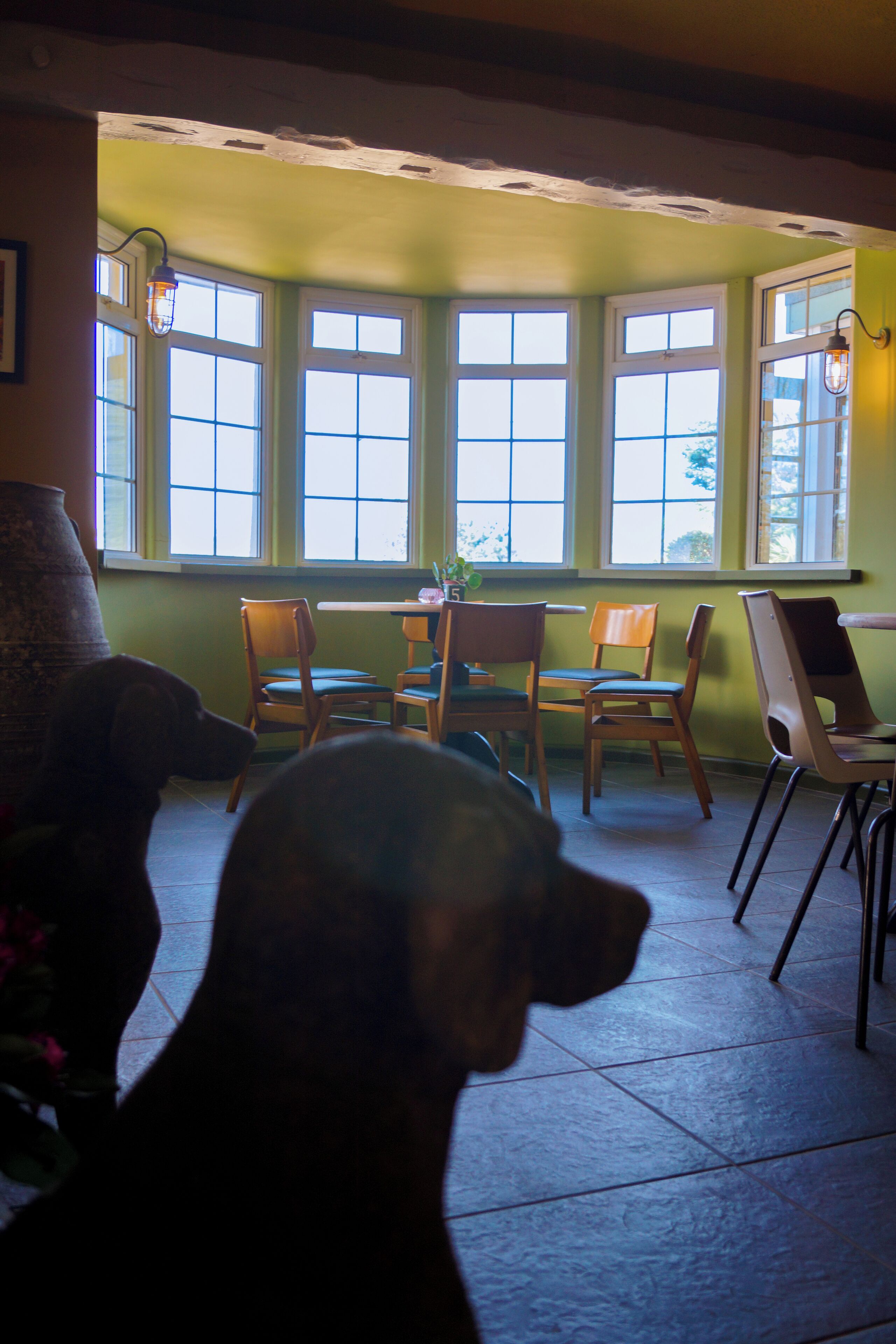A room with a bay window, wooden chairs, and a dog.