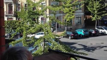 House | Property grounds