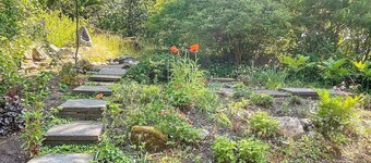 瓦斯特維克4人度假屋