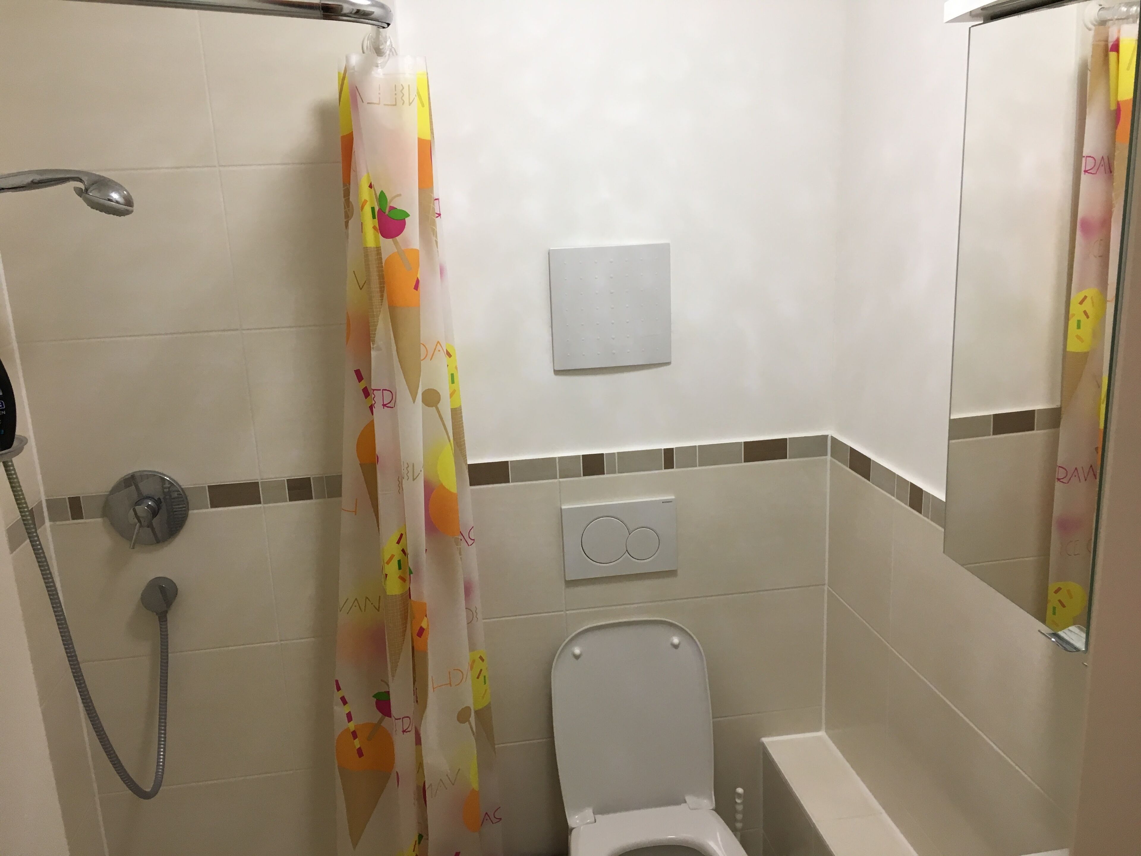A bathroom with a shower, toilet, and a mirror.