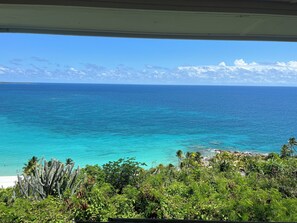Beach/ocean view