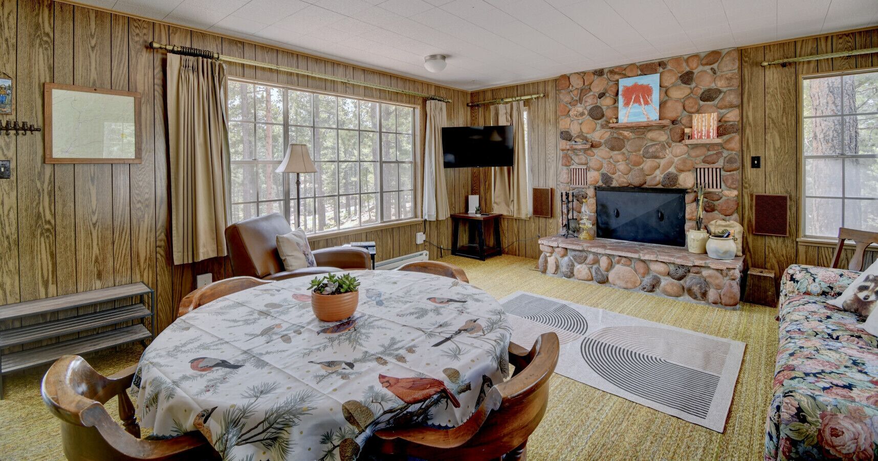 Smart TV, fireplace, books