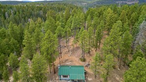 Eine Hütte, umgeben von dichtem Wald, mit einem Feldweg, der dorthin führt.