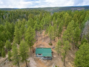 A cabin surrounded by dense forest with a dirt path leading to it.