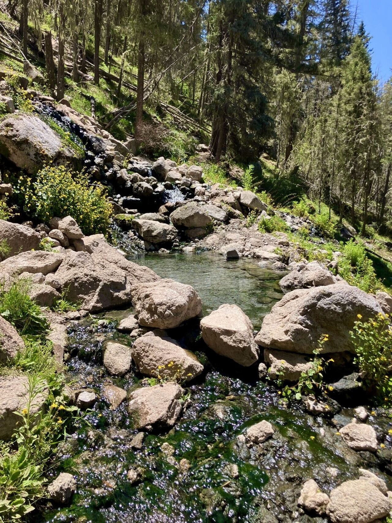 Un cours d’eau naturel, bordé de rochers et de végétation, vraisemblablement situé dans une zone boisée.