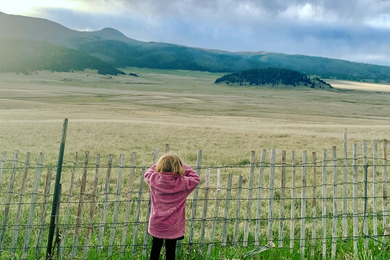 A person standing behind a wooden fence with barbed wire, overlooking a vast open field and distant hills.
