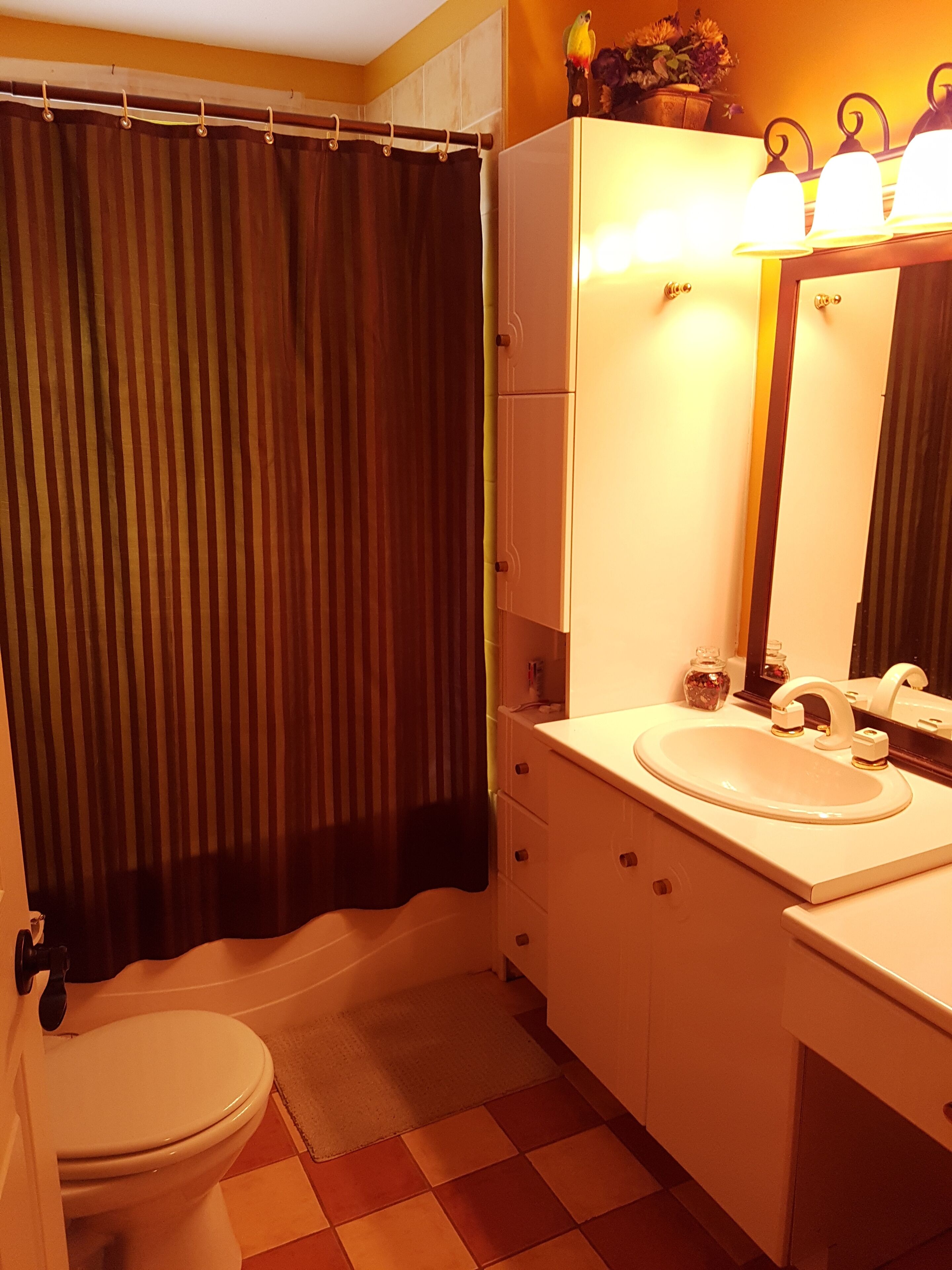 Une salle de bain équipée de toilettes, d’un lavabo et d’un rideau de douche.