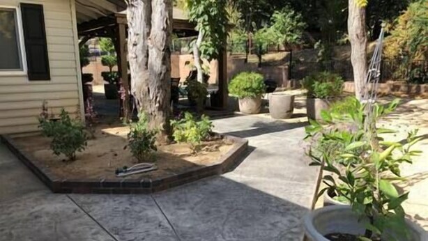 Une cour avec un sol en béton, des plantes en pot et un petit espace aménagé en jardin.