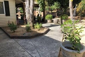 Une cour avec un sol en béton, des plantes en pot et un petit espace aménagé en jardin.