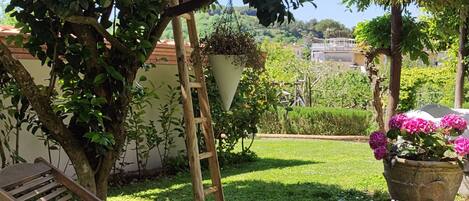A wooden bench with a blue cushion in a garden area with a view of a building in the background.