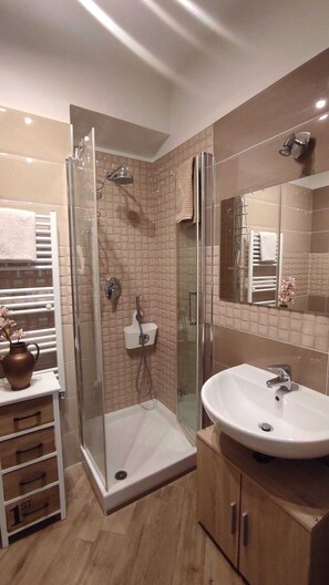 Shower, hair dryer, bidet, towels