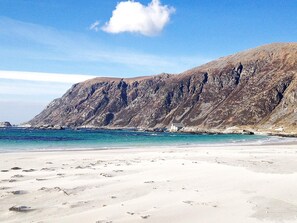 House | Beach | Fishing - 8 Person Holiday Home in Bremanger (Bremanger)