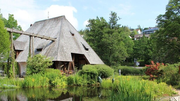 A traditional wooden house with a sloped roof, surrounded by lush greenery and a pond. - Holiday Apartment Kieschtock (Unterkirnach)