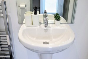 A bathroom sink with a mirror, a small potted plant, and toiletries. - Pier12 (Eastbourne)