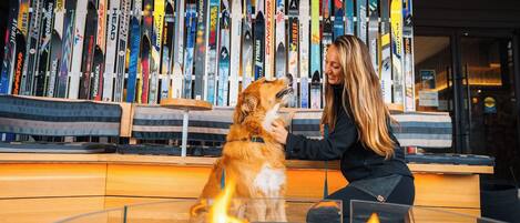 A reception area with a fireplace, skis on display, and a dog interacting with a person.