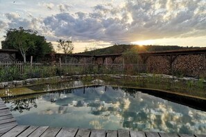 Pool - Apartment With Private Pool, Garden (Oppurg)