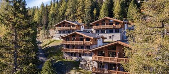 Superior Chalet With Sauna