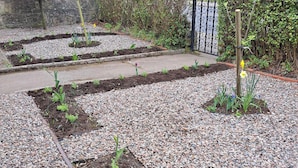 Un jardín con camas elevadas y un sendero de grava.