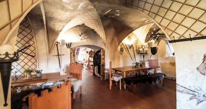 HRAD VILDĆ TEJN