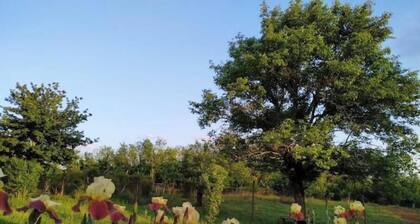 Country House Uliana 2 bedrooms with bath &kitchen