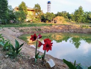 Property grounds - Family Suite with balcony (Gumbra)