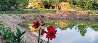 Family Suite with balcony