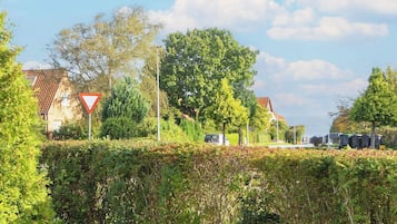 House | Property grounds