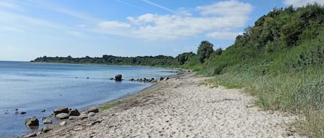 A sandy beach with rocks, a clear sky, and a distant forested area.
