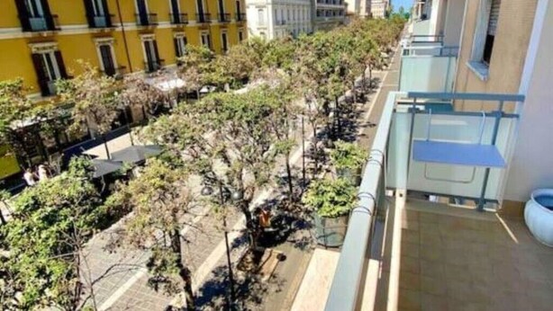 A balcony with a view of a tree-lined street and adjacent buildings. - In the heart of Pescara, Hope will be your home just 5 minutes from the sea. (Pescara)
