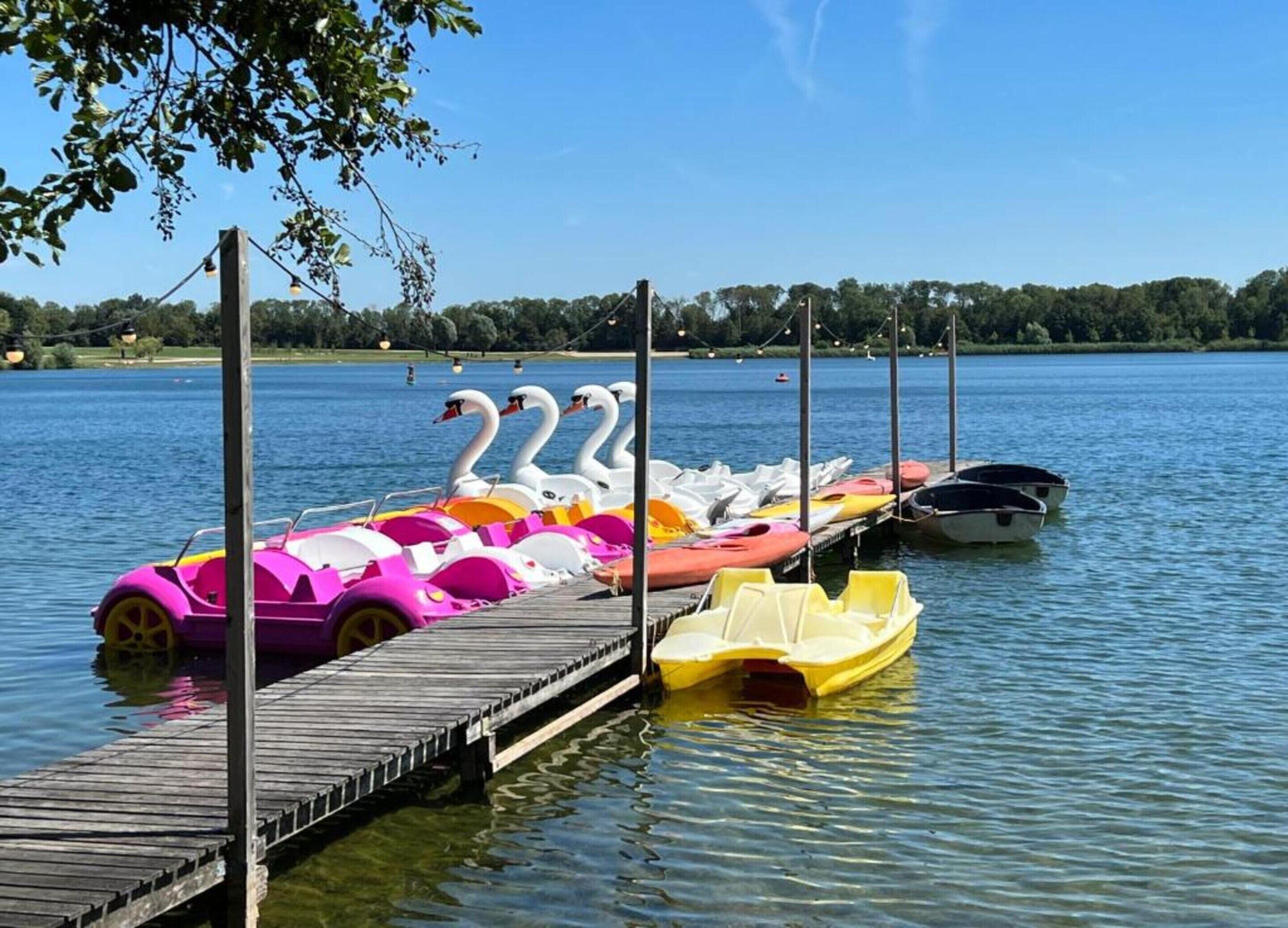 A wooden pier with colorful paddle boats and a row of swans.