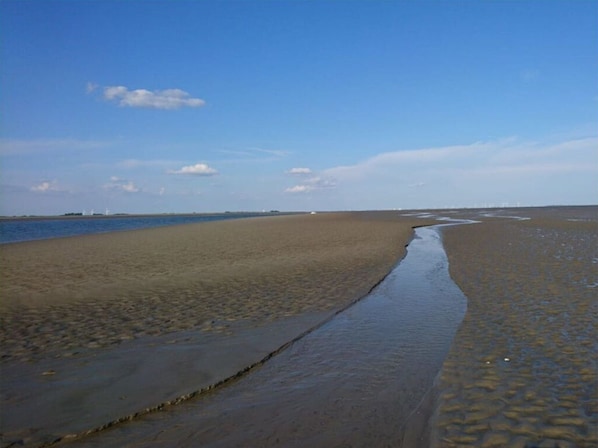 Una spiaggia nelle vicinanze