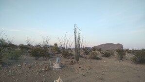 Pet-friendly - Longhorn Ranch Motel - RV Park with Power and No Sewer (Alpine)