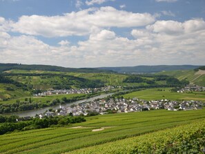 A rural landscape with a river, vineyards, and a small town. - Riesling Apartment on the Moselle Terrace (Detzem)