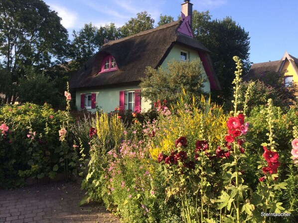Exterior - Red-throated Diver Modern Retreat (Putgarten)