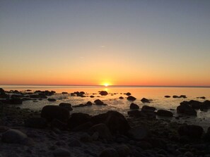 Beach - Red-throated Diver Modern Retreat (Putgarten)