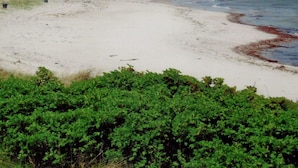 A beach with a sandy shore, a small boat, and green vegetation in the foreground. - Seebergweg Modern Retreat (Maasholm)