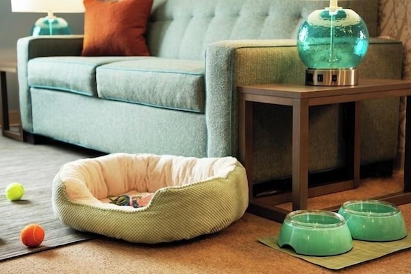 Iron/ironing board, free WiFi